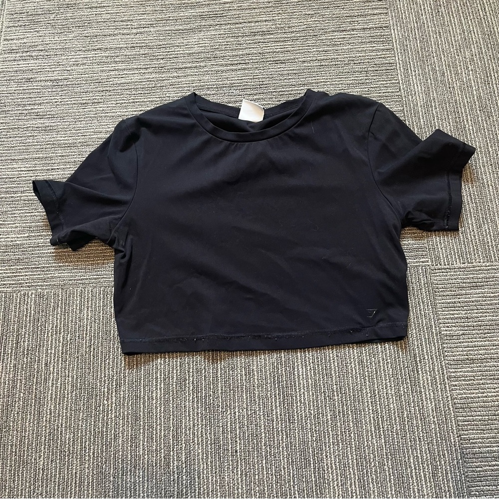 Whitney Simmons Cropped T-Shirt